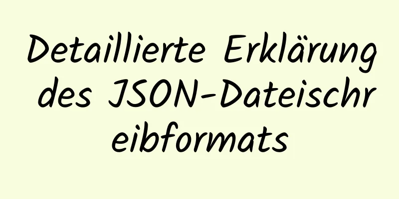 Detaillierte Erklärung des JSON-Dateischreibformats