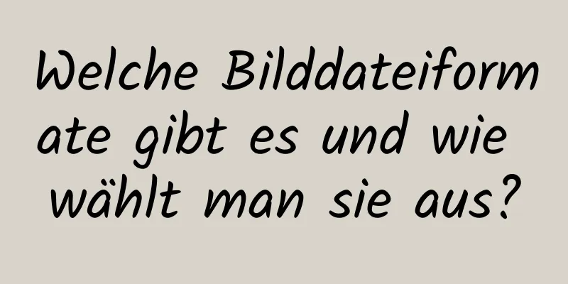 Welche Bilddateiformate gibt es und wie wählt man sie aus?