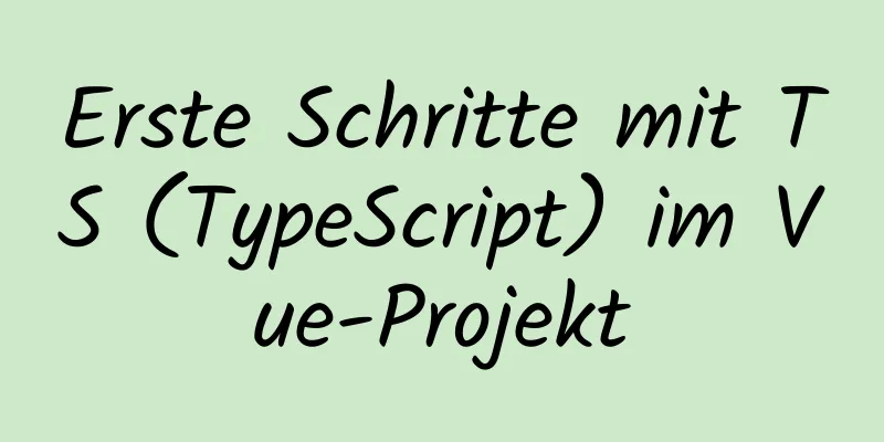 Erste Schritte mit TS (TypeScript) im Vue-Projekt