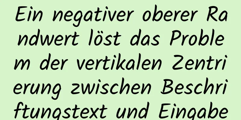 Ein negativer oberer Randwert löst das Problem der vertikalen Zentrierung zwischen Beschriftungstext und Eingabe