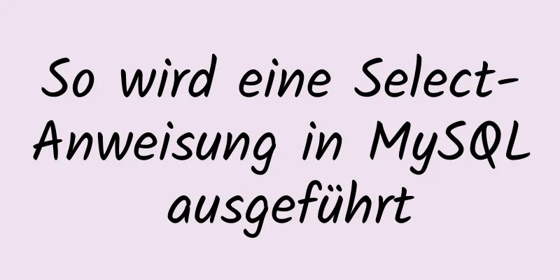 So wird eine Select-Anweisung in MySQL ausgeführt