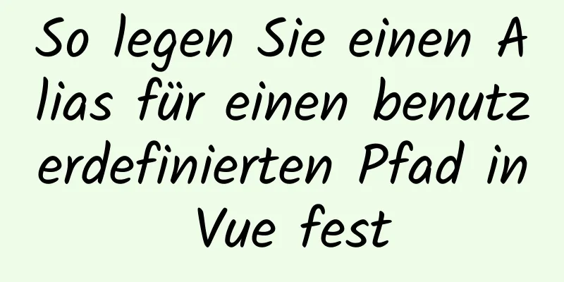 So legen Sie einen Alias ​​für einen benutzerdefinierten Pfad in Vue fest