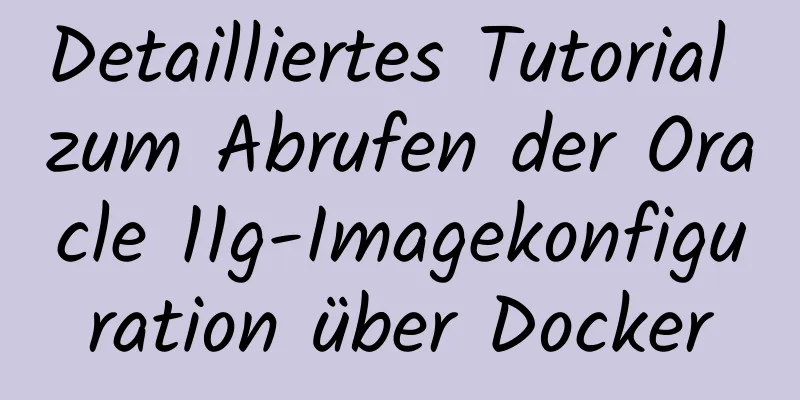 Detailliertes Tutorial zum Abrufen der Oracle 11g-Imagekonfiguration über Docker