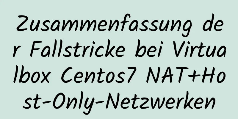 Zusammenfassung der Fallstricke bei Virtualbox Centos7 NAT+Host-Only-Netzwerken