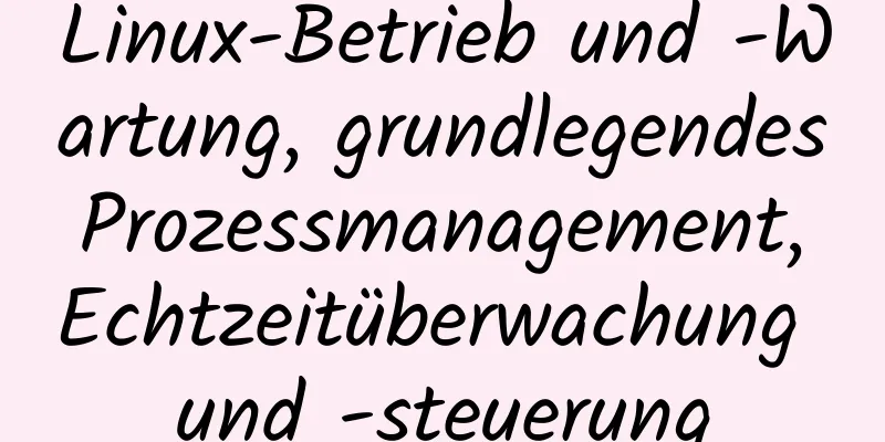 Linux-Betrieb und -Wartung, grundlegendes Prozessmanagement, Echtzeitüberwachung und -steuerung