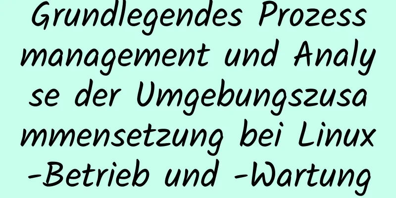 Grundlegendes Prozessmanagement und Analyse der Umgebungszusammensetzung bei Linux-Betrieb und -Wartung