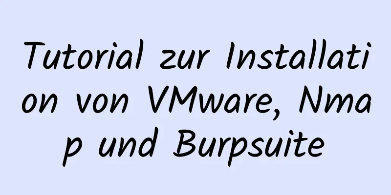 Tutorial zur Installation von VMware, Nmap und Burpsuite