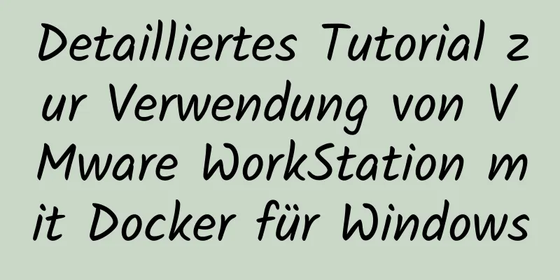 Detailliertes Tutorial zur Verwendung von VMware WorkStation mit Docker für Windows