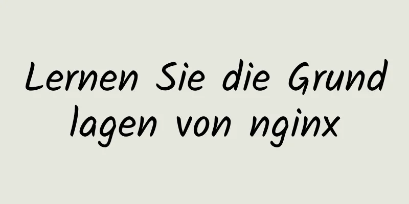 Lernen Sie die Grundlagen von nginx