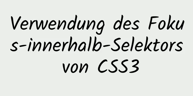 Verwendung des Fokus-innerhalb-Selektors von CSS3