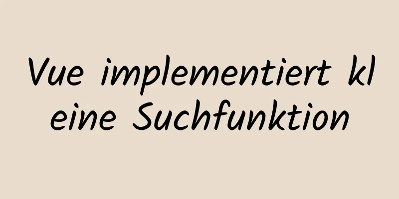 Vue implementiert kleine Suchfunktion