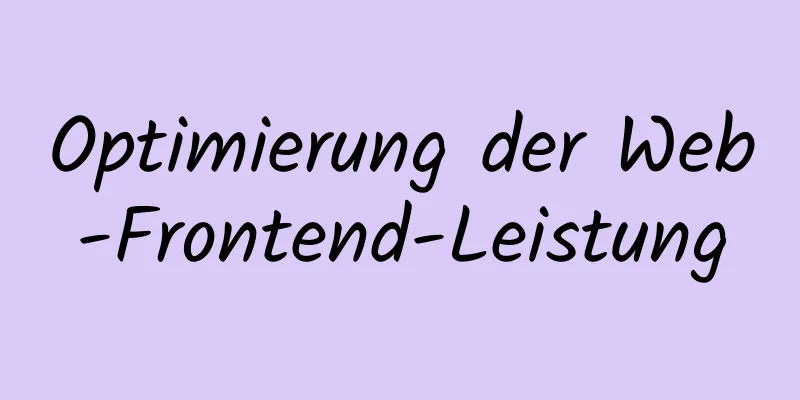 Optimierung der Web-Frontend-Leistung