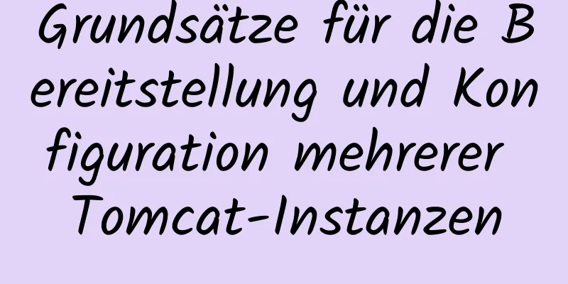 Grundsätze für die Bereitstellung und Konfiguration mehrerer Tomcat-Instanzen