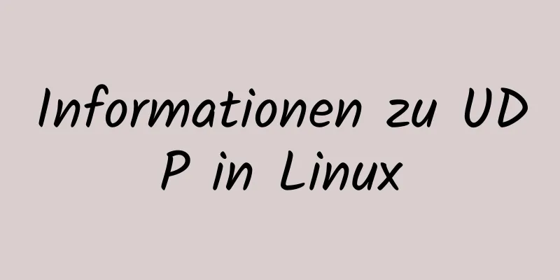 Informationen zu UDP in Linux