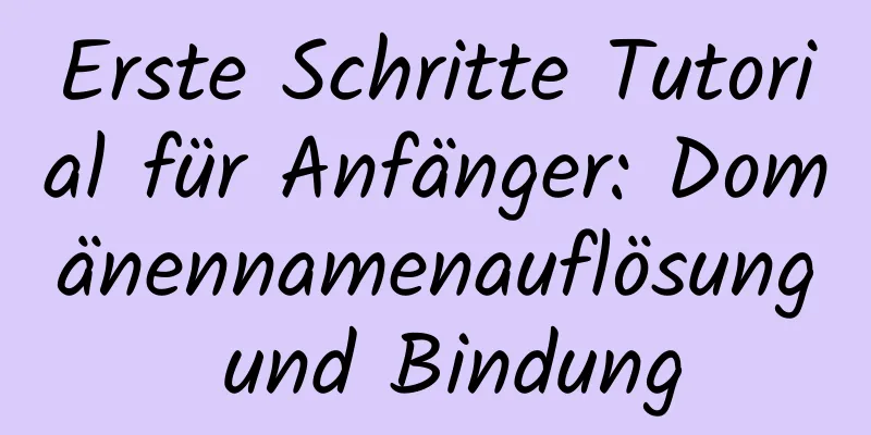 Erste Schritte Tutorial für Anfänger: Domänennamenauflösung und Bindung