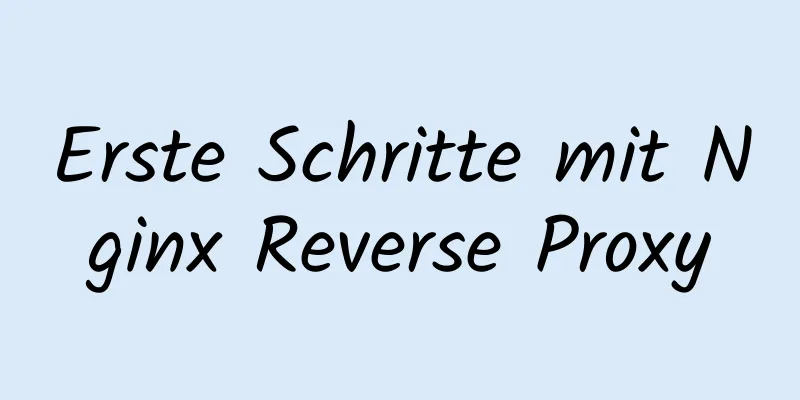 Erste Schritte mit Nginx Reverse Proxy