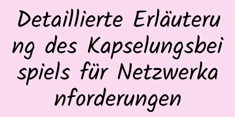 Detaillierte Erläuterung des Kapselungsbeispiels für Netzwerkanforderungen