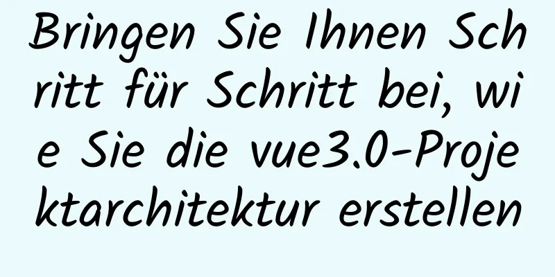 Bringen Sie Ihnen Schritt für Schritt bei, wie Sie die vue3.0-Projektarchitektur erstellen