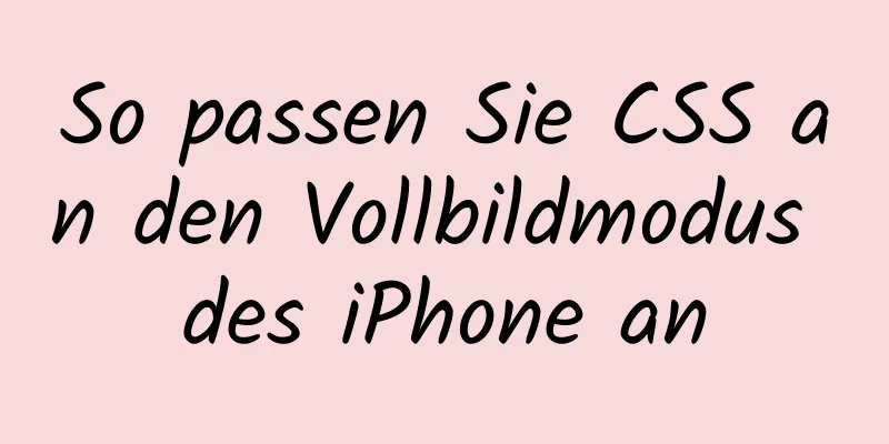 So passen Sie CSS an den Vollbildmodus des iPhone an