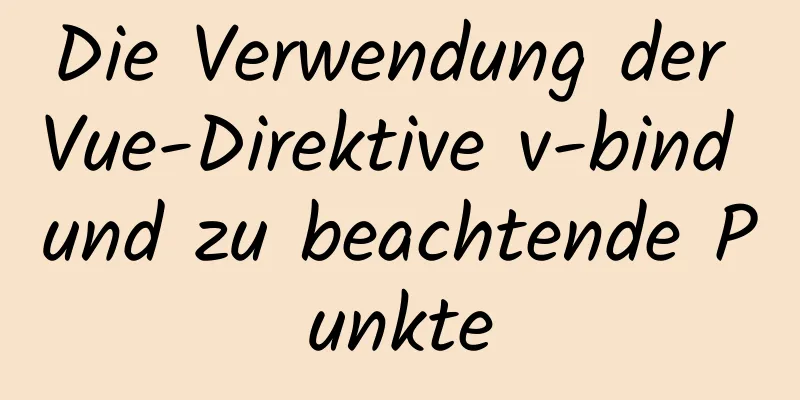 Die Verwendung der Vue-Direktive v-bind und zu beachtende Punkte