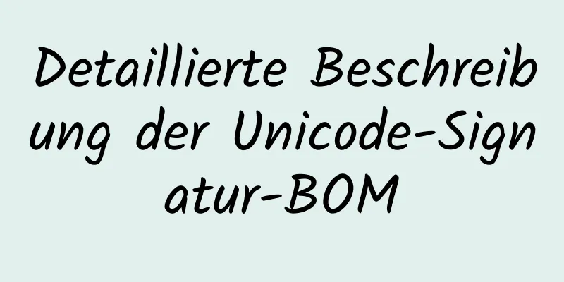 Detaillierte Beschreibung der Unicode-Signatur-BOM