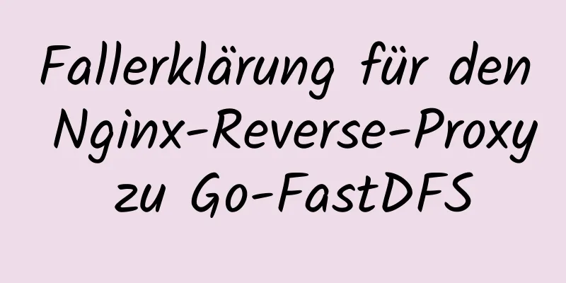 Fallerklärung für den Nginx-Reverse-Proxy zu Go-FastDFS