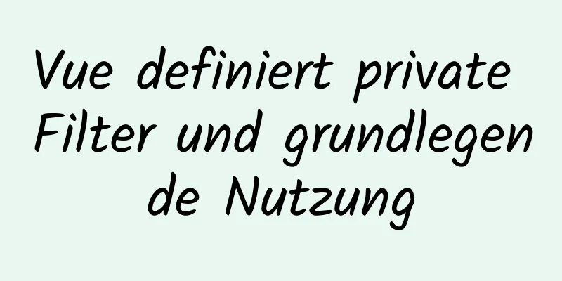 Vue definiert private Filter und grundlegende Nutzung