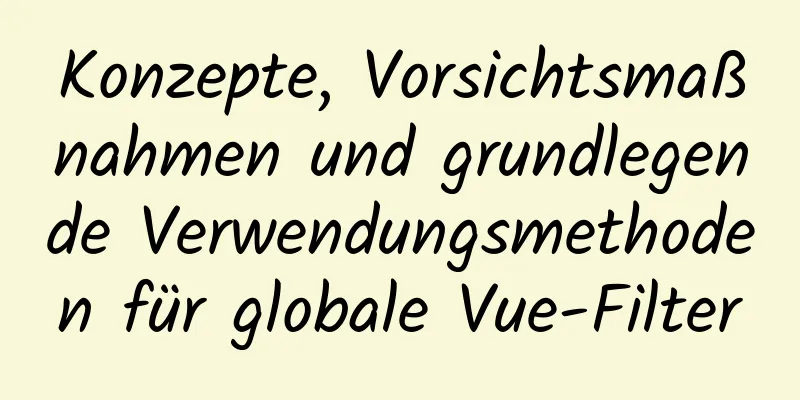 Konzepte, Vorsichtsmaßnahmen und grundlegende Verwendungsmethoden für globale Vue-Filter