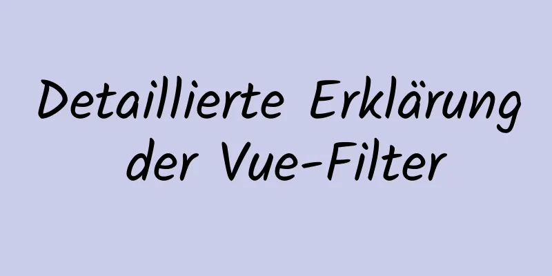 Detaillierte Erklärung der Vue-Filter