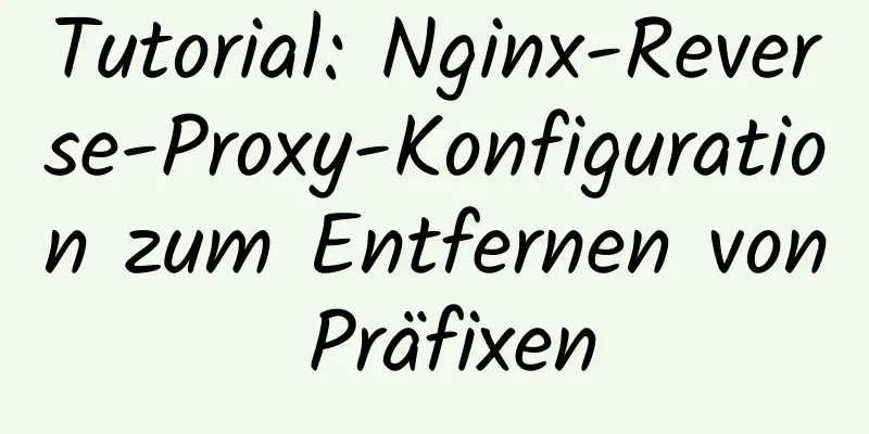 Tutorial: Nginx-Reverse-Proxy-Konfiguration zum Entfernen von Präfixen