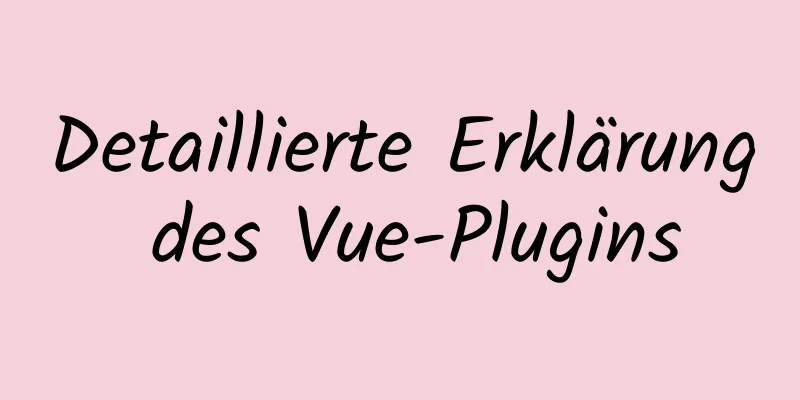 Detaillierte Erklärung des Vue-Plugins