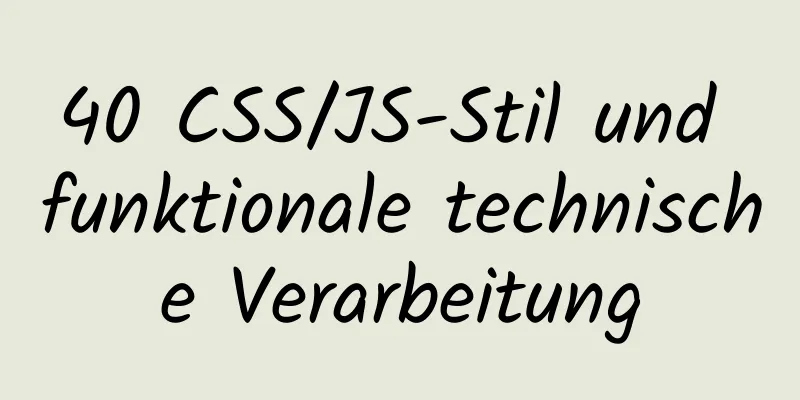 40 CSS/JS-Stil und funktionale technische Verarbeitung