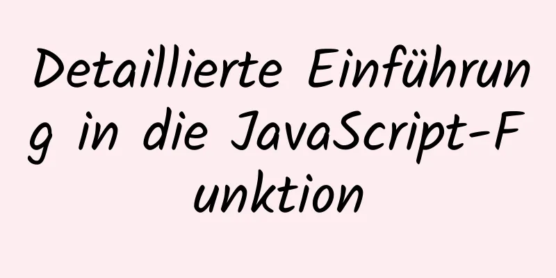 Detaillierte Einführung in die JavaScript-Funktion