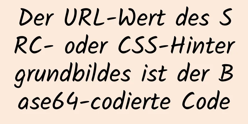 Der URL-Wert des SRC- oder CSS-Hintergrundbildes ist der Base64-codierte Code