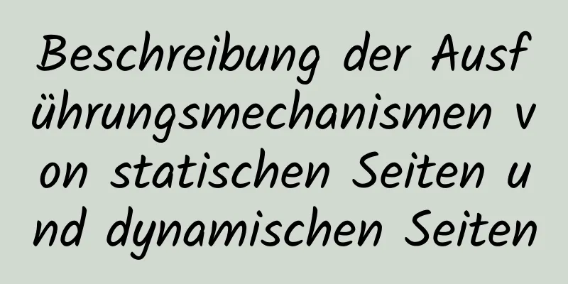 Beschreibung der Ausführungsmechanismen von statischen Seiten und dynamischen Seiten