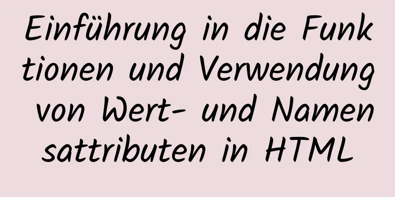 Einführung in die Funktionen und Verwendung von Wert- und Namensattributen in HTML