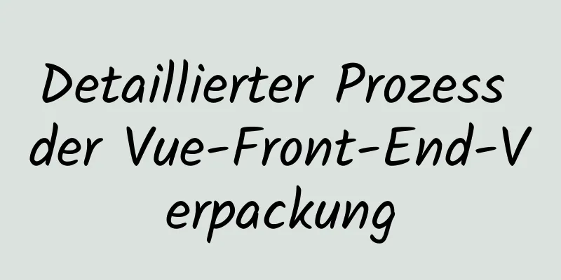 Detaillierter Prozess der Vue-Front-End-Verpackung