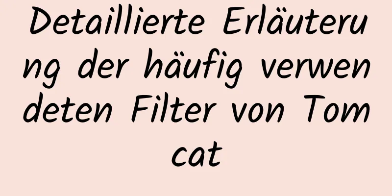 Detaillierte Erläuterung der häufig verwendeten Filter von Tomcat