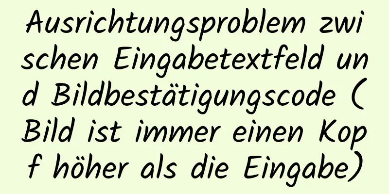 Ausrichtungsproblem zwischen Eingabetextfeld und Bildbestätigungscode (Bild ist immer einen Kopf höher als die Eingabe)