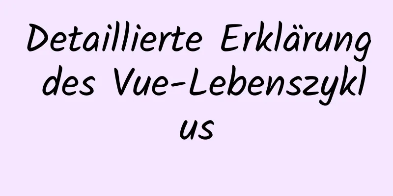 Detaillierte Erklärung des Vue-Lebenszyklus