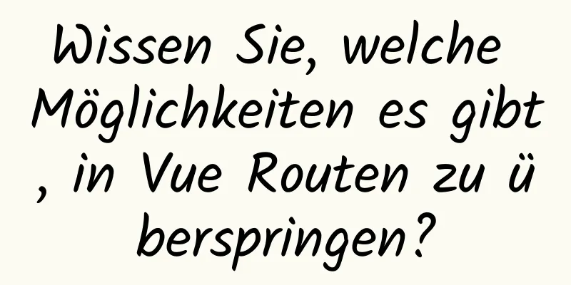 Wissen Sie, welche Möglichkeiten es gibt, in Vue Routen zu überspringen?