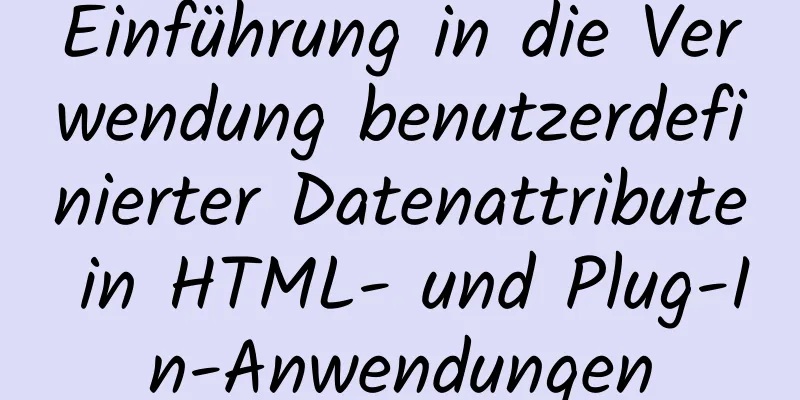 Einführung in die Verwendung benutzerdefinierter Datenattribute in HTML- und Plug-In-Anwendungen