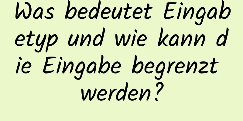 Was bedeutet Eingabetyp und wie kann die Eingabe begrenzt werden?