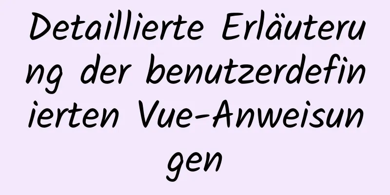 Detaillierte Erläuterung der benutzerdefinierten Vue-Anweisungen