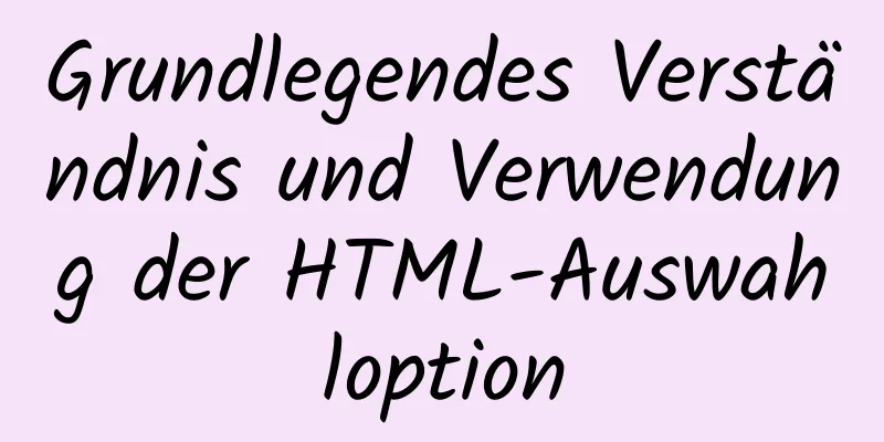 Grundlegendes Verständnis und Verwendung der HTML-Auswahloption