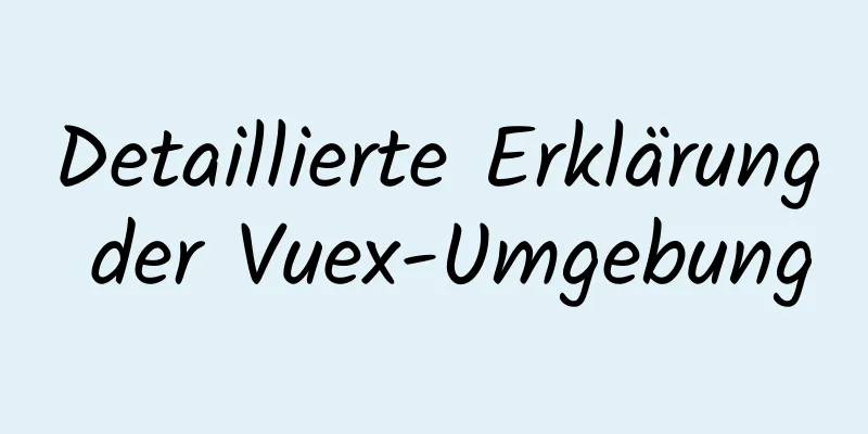 Detaillierte Erklärung der Vuex-Umgebung