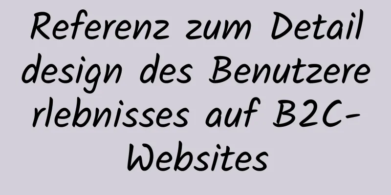 Referenz zum Detaildesign des Benutzererlebnisses auf B2C-Websites