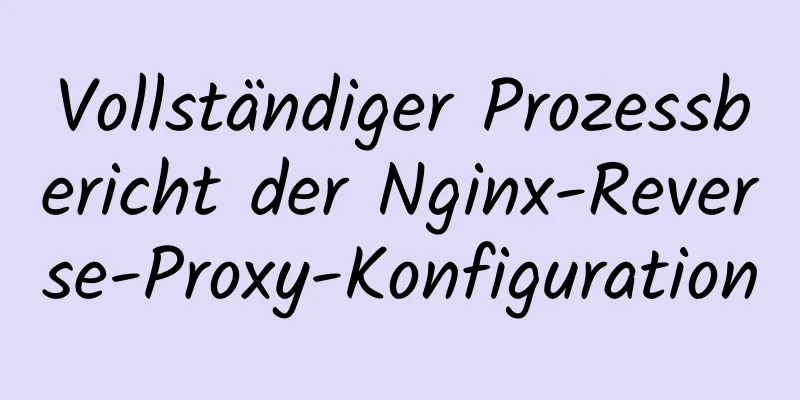 Vollständiger Prozessbericht der Nginx-Reverse-Proxy-Konfiguration