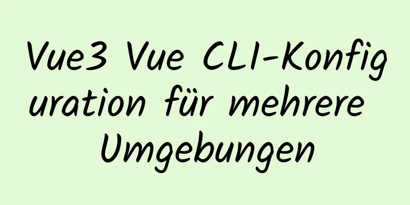 Vue3 Vue CLI-Konfiguration für mehrere Umgebungen