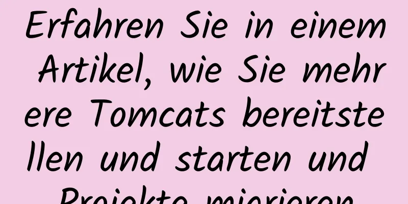 Erfahren Sie in einem Artikel, wie Sie mehrere Tomcats bereitstellen und starten und Projekte migrieren